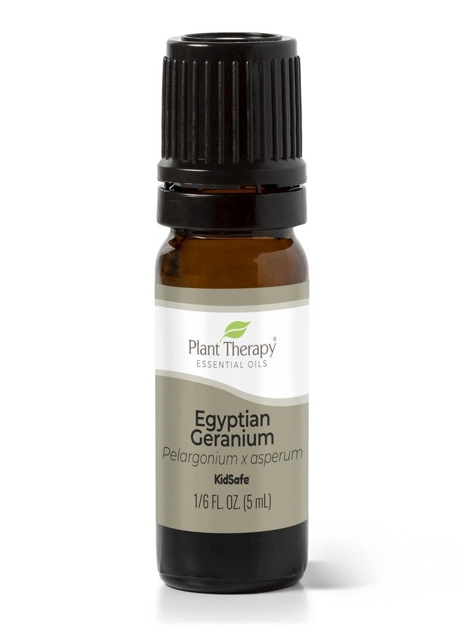 Plant Therapy Egyptian Geranium Essential Oil 100% Pure, Undiluted, Natural Aromatherapy, Therapeutic Grade 5 mL (1/6 oz) - Image 1